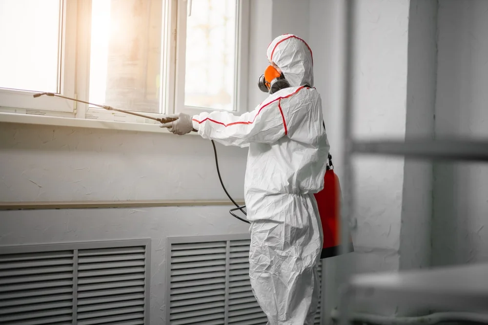 Professional mold remediation services in Fort Stewart, GA